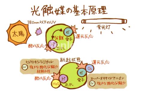 枣庄专业保洁公司承接开荒外墙地毯家电除甲醛灭鼠等保洁业务(枣庄家政保洁价格)